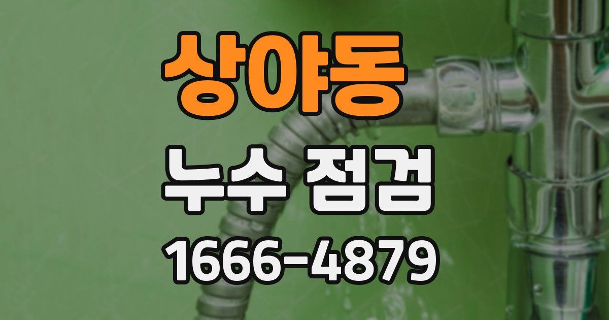 상야동 누수 점검