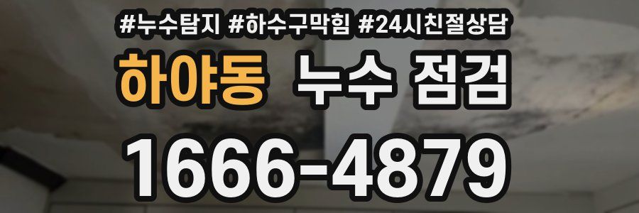 하야동 누수 점검