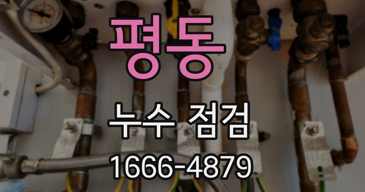 평동 누수 점검