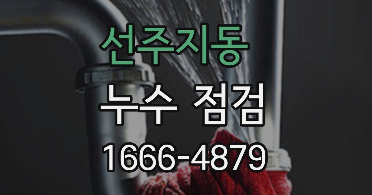 선주지동 누수 점검