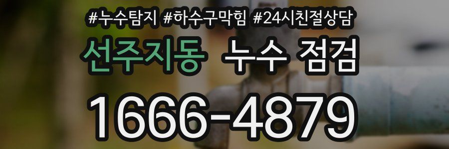 선주지동 누수 점검