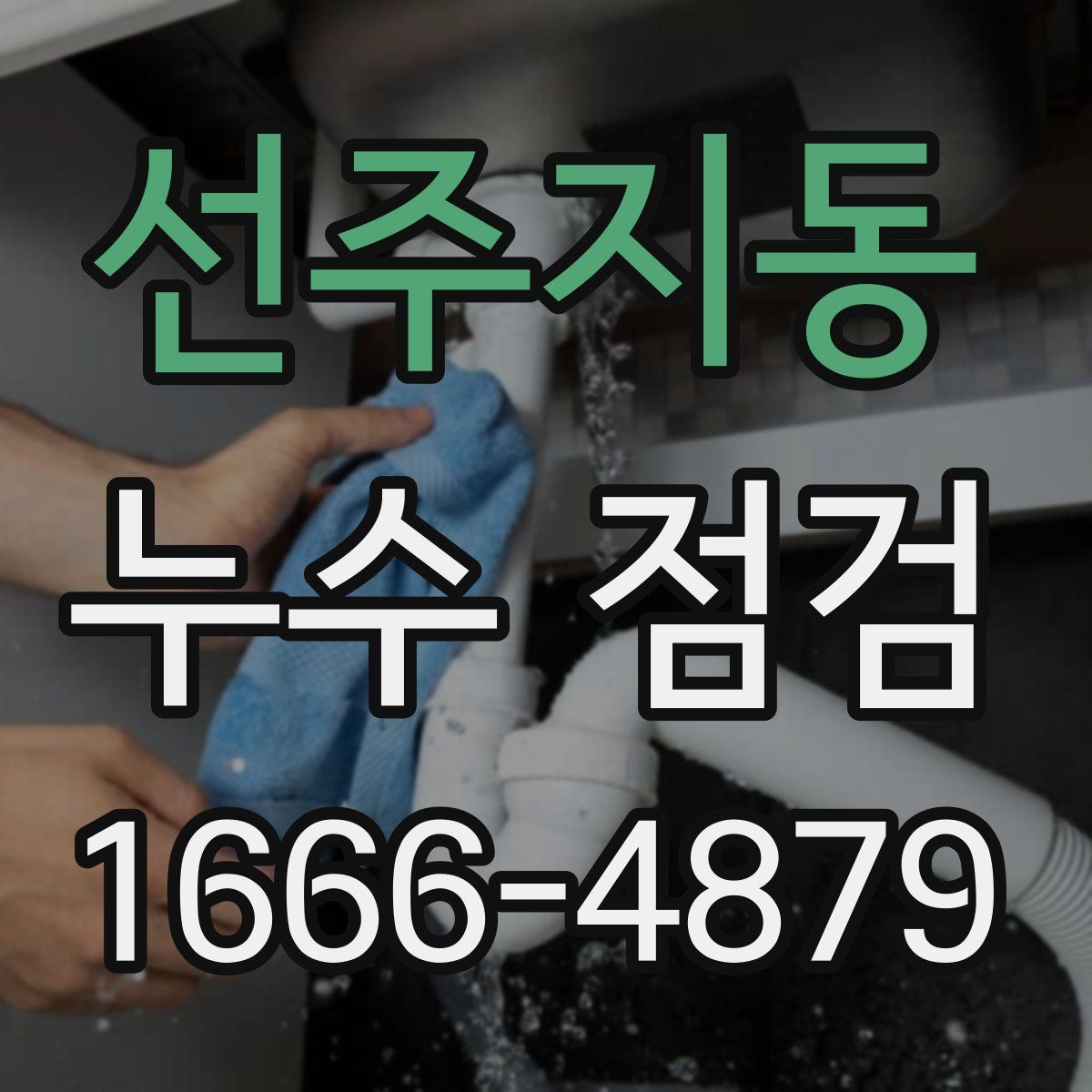 선주지동 누수 점검