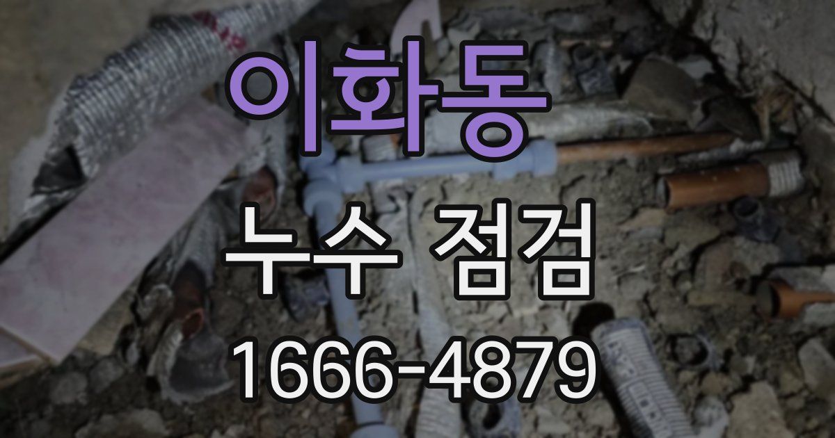 이화동 누수 점검