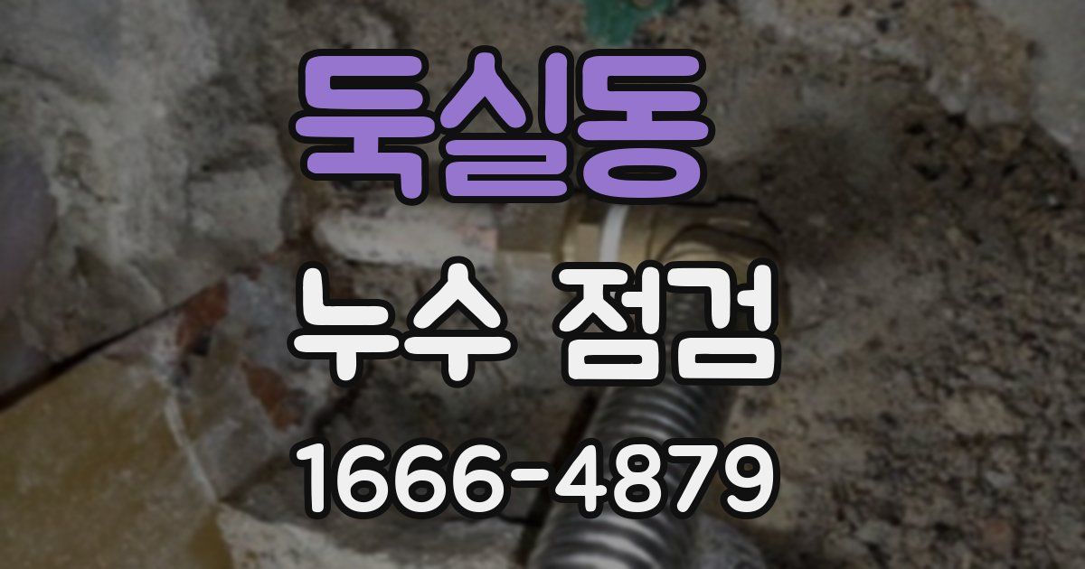 둑실동 누수 점검