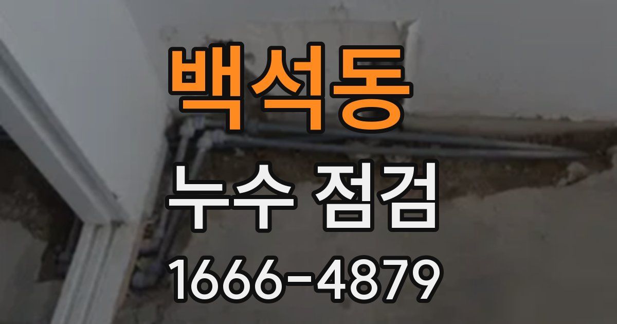 백석동 누수 점검