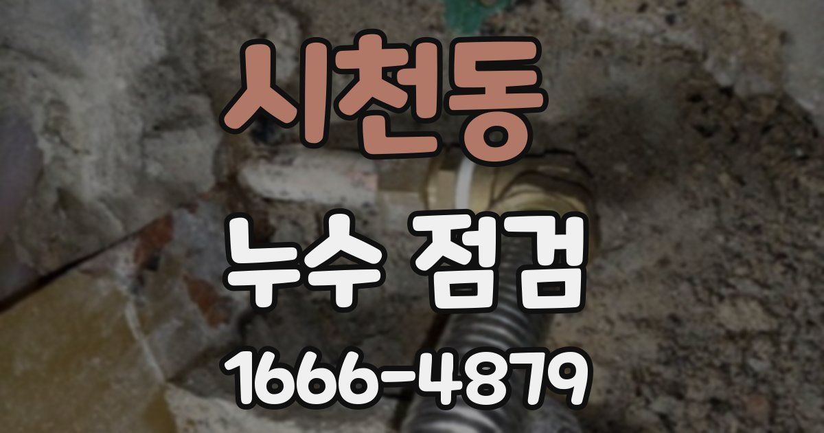 시천동 누수 점검