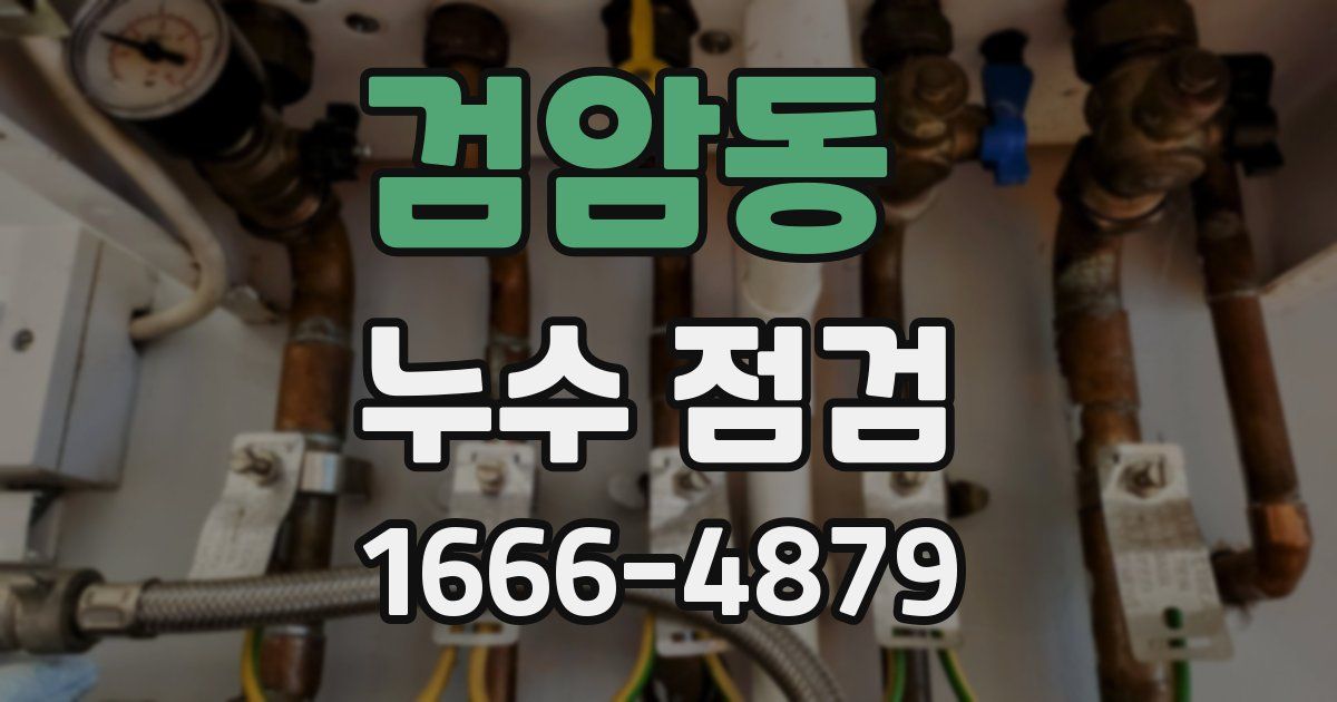 검암동 누수 점검