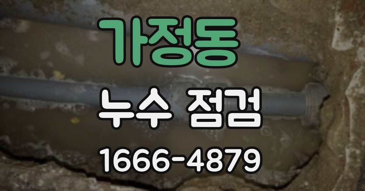 가정동 누수 점검