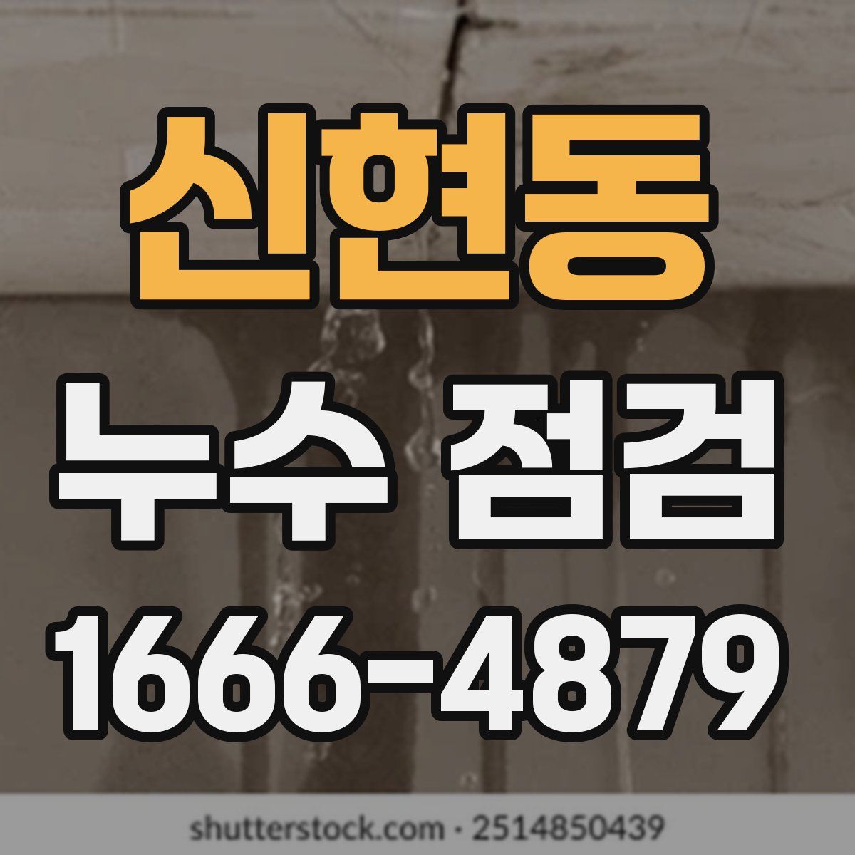 신현동 누수 점검