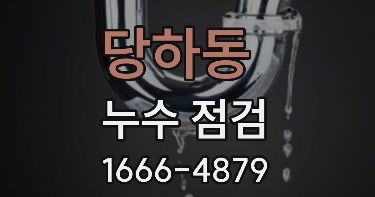 당하동 누수 점검