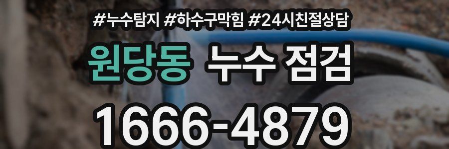 원당동 누수 점검