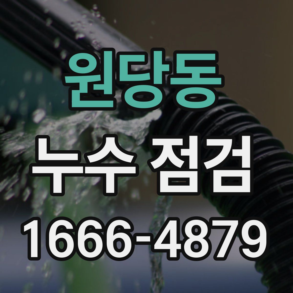 원당동 누수 점검