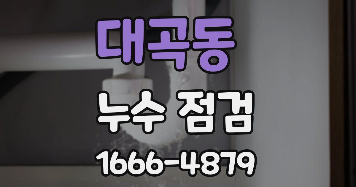대곡동 누수 점검