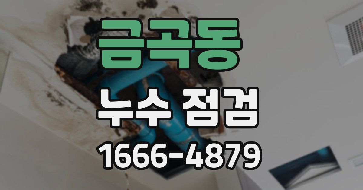 금곡동 누수 점검