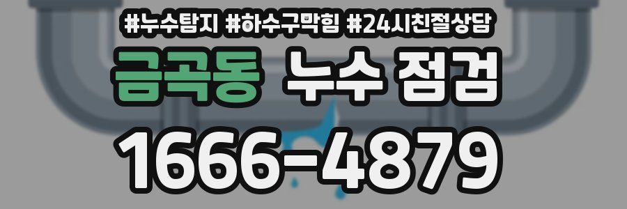 금곡동 누수 점검
