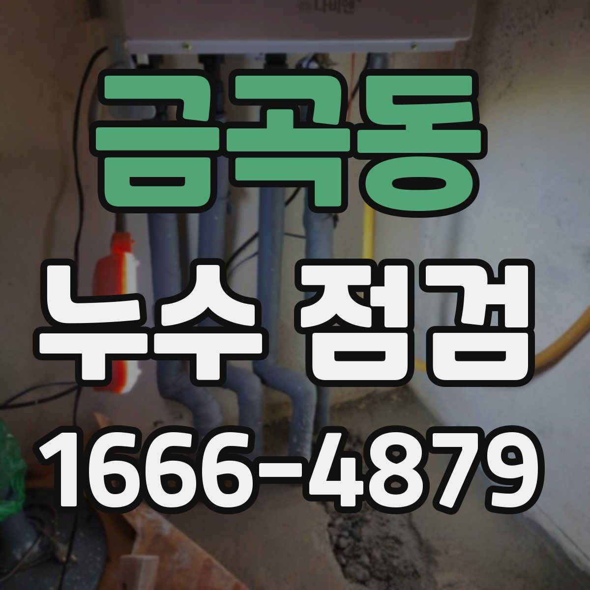 금곡동 누수 점검
