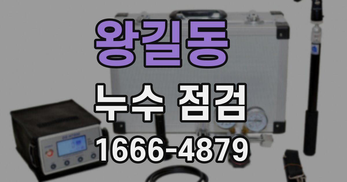 왕길동 누수 점검