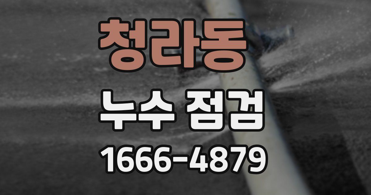 청라동 누수 점검