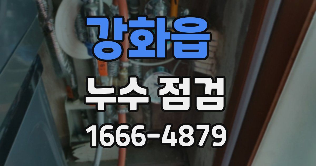 강화읍 누수 점검