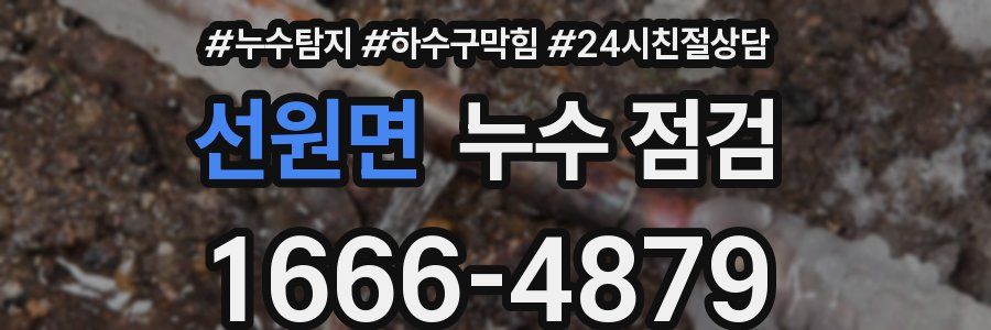 선원면 누수 점검