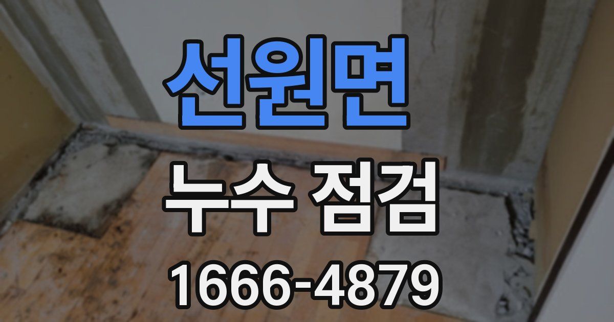 선원면 누수 점검