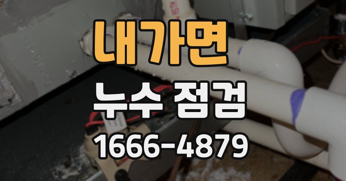 내가면 누수 점검