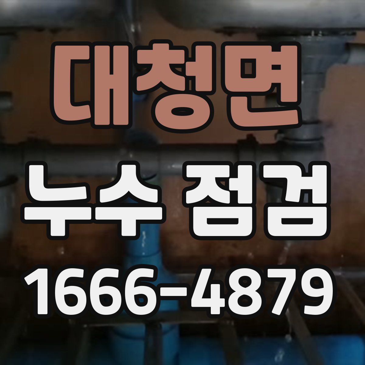 대청면 누수 점검