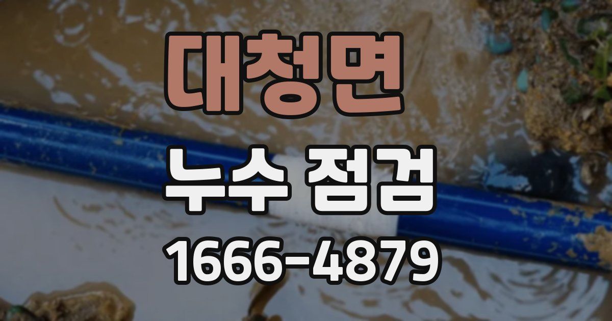 대청면 누수 점검