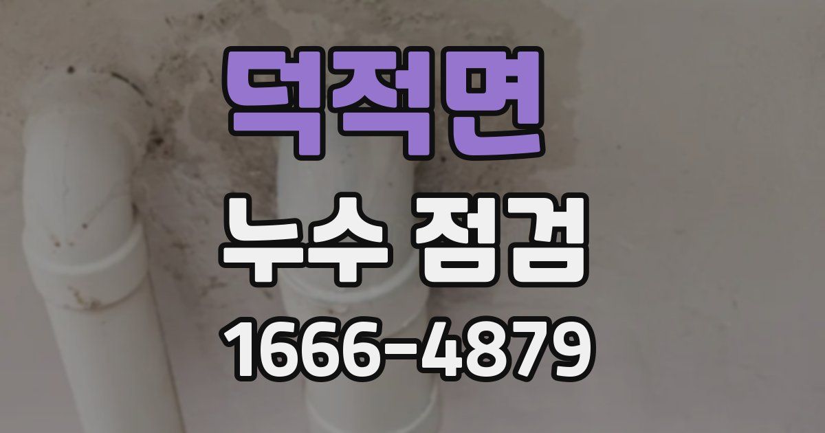 덕적면 누수 점검