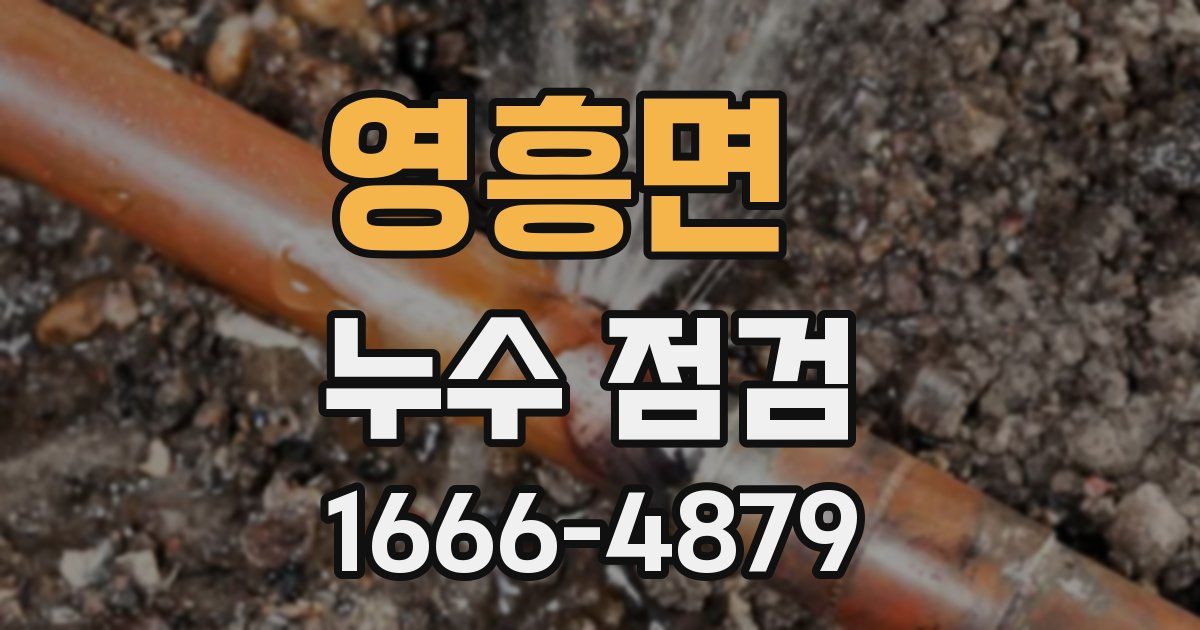 영흥면 누수 점검