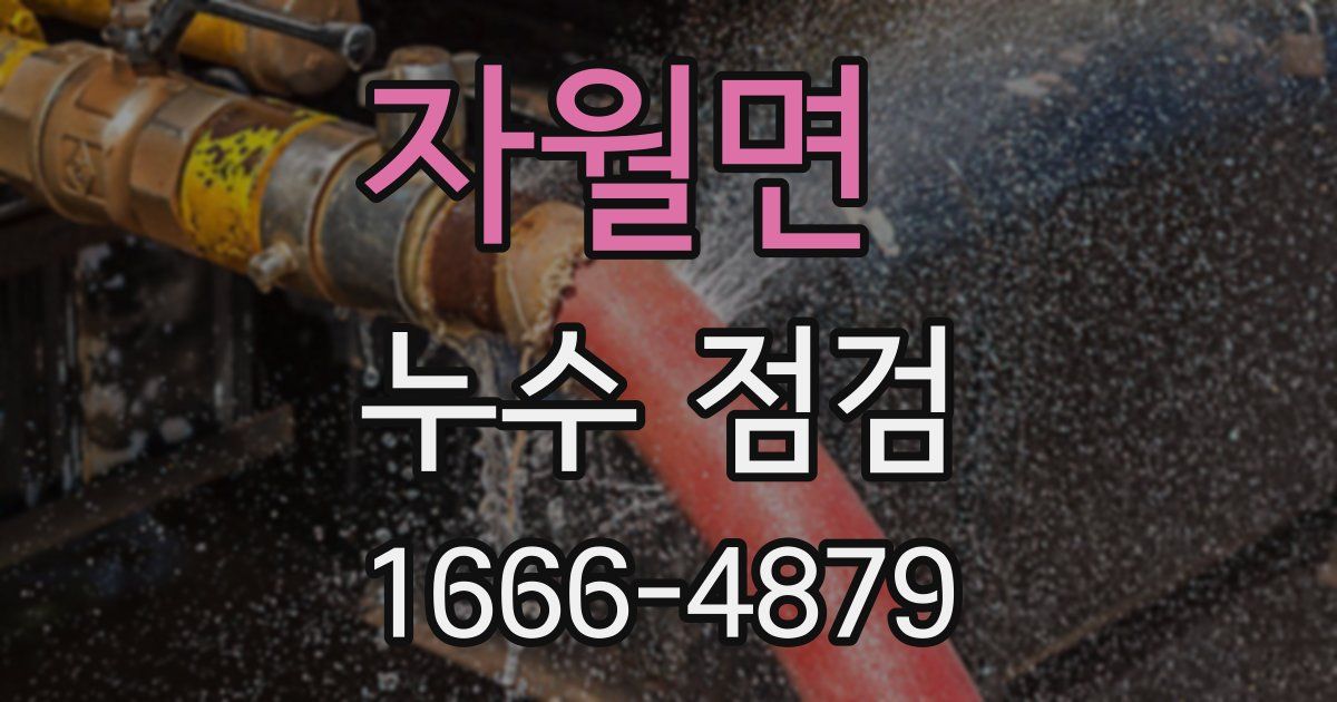 자월면 누수 점검