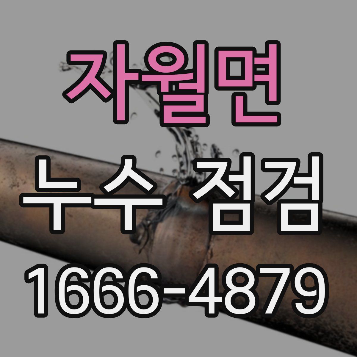 자월면 누수 점검