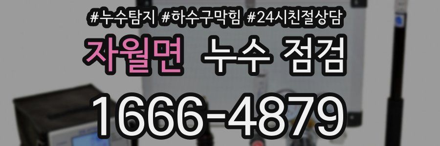 자월면 누수 점검