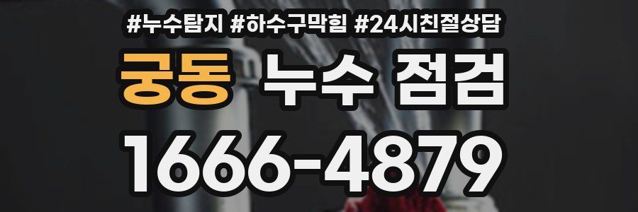 궁동 누수 점검