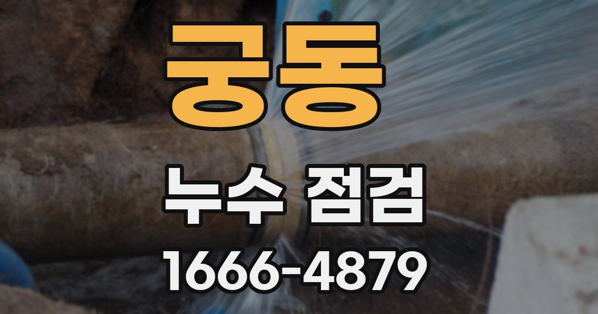 궁동 누수 점검