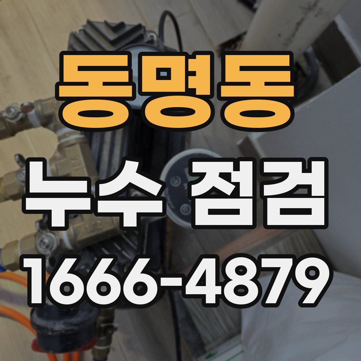동명동 누수 점검