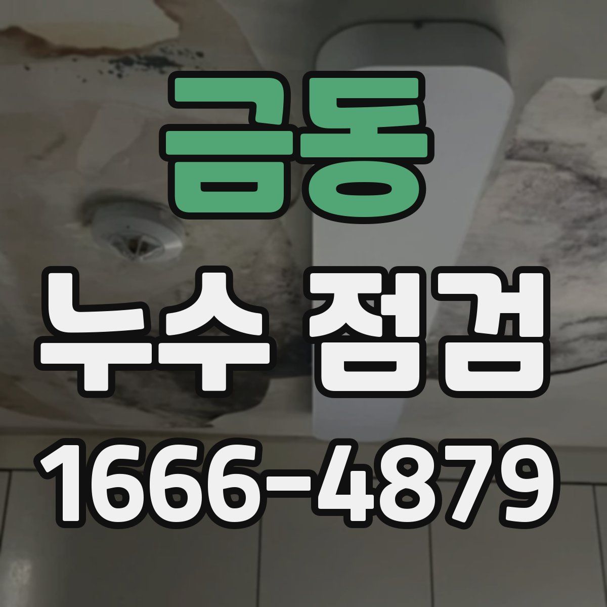 금동 누수 점검