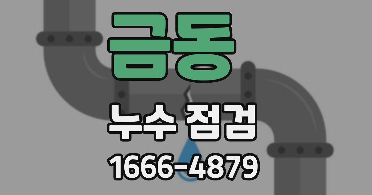 금동 누수 점검