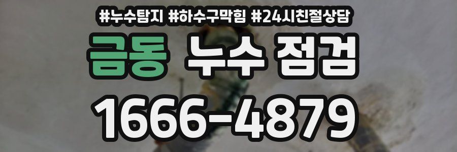 금동 누수 점검
