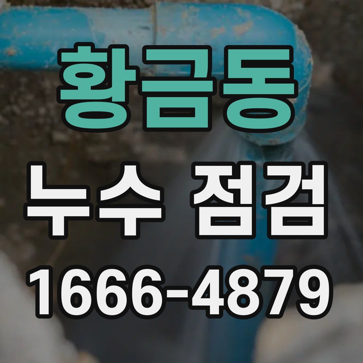 황금동 누수 점검