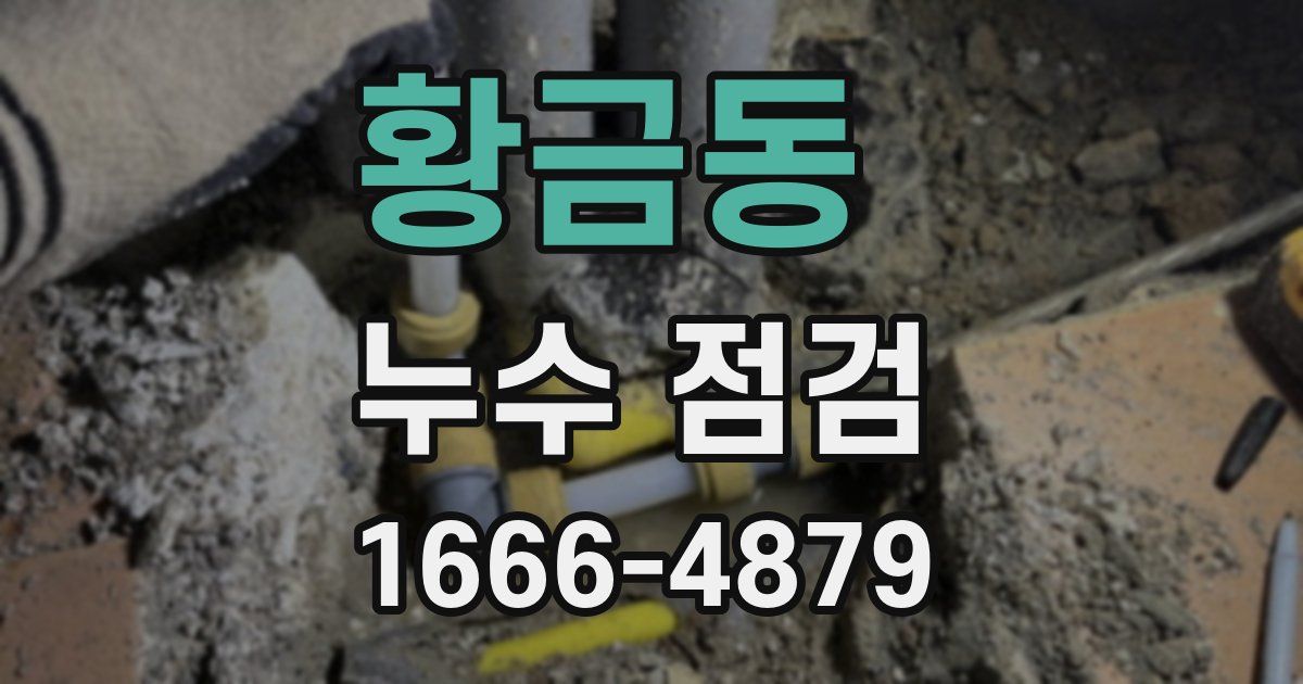 황금동 누수 점검