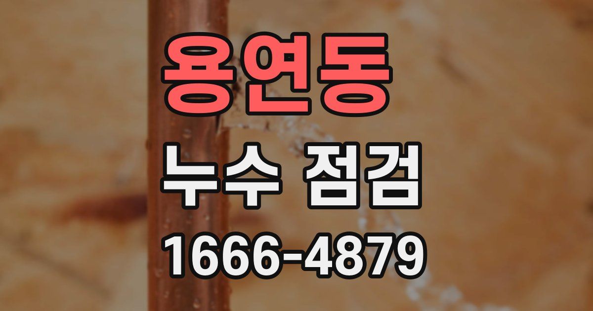 용연동 누수 점검