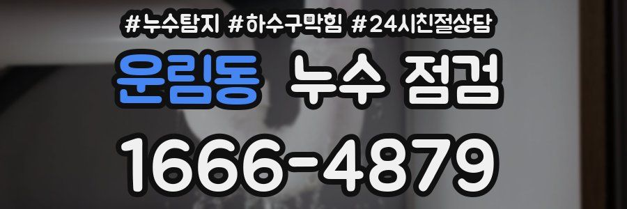 운림동 누수 점검
