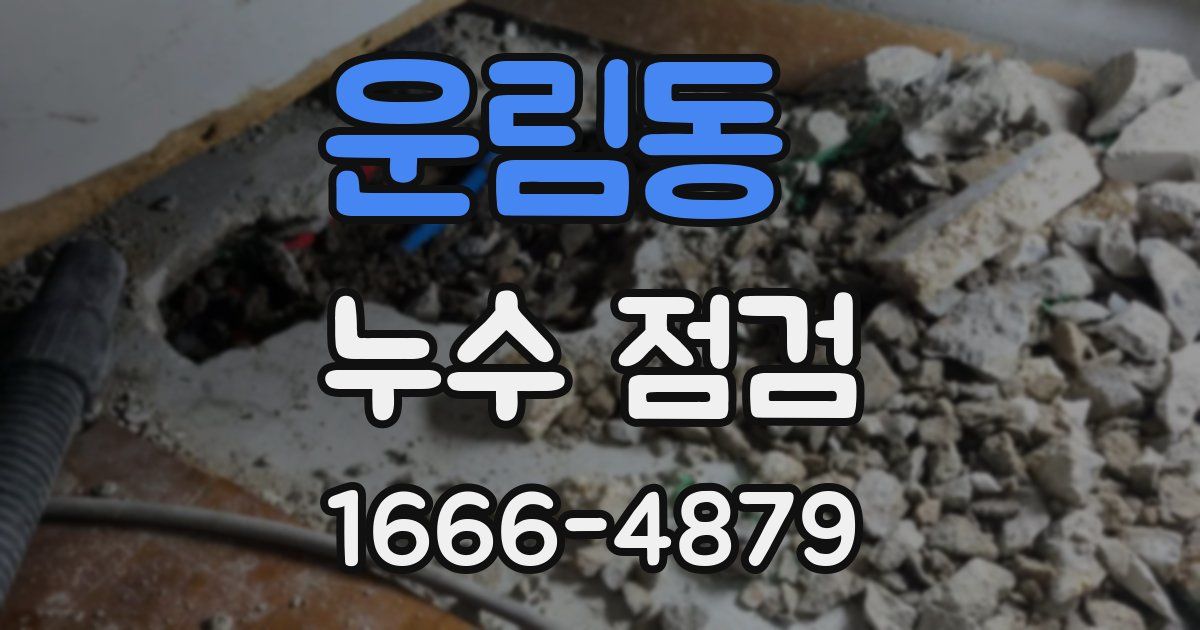 운림동 누수 점검