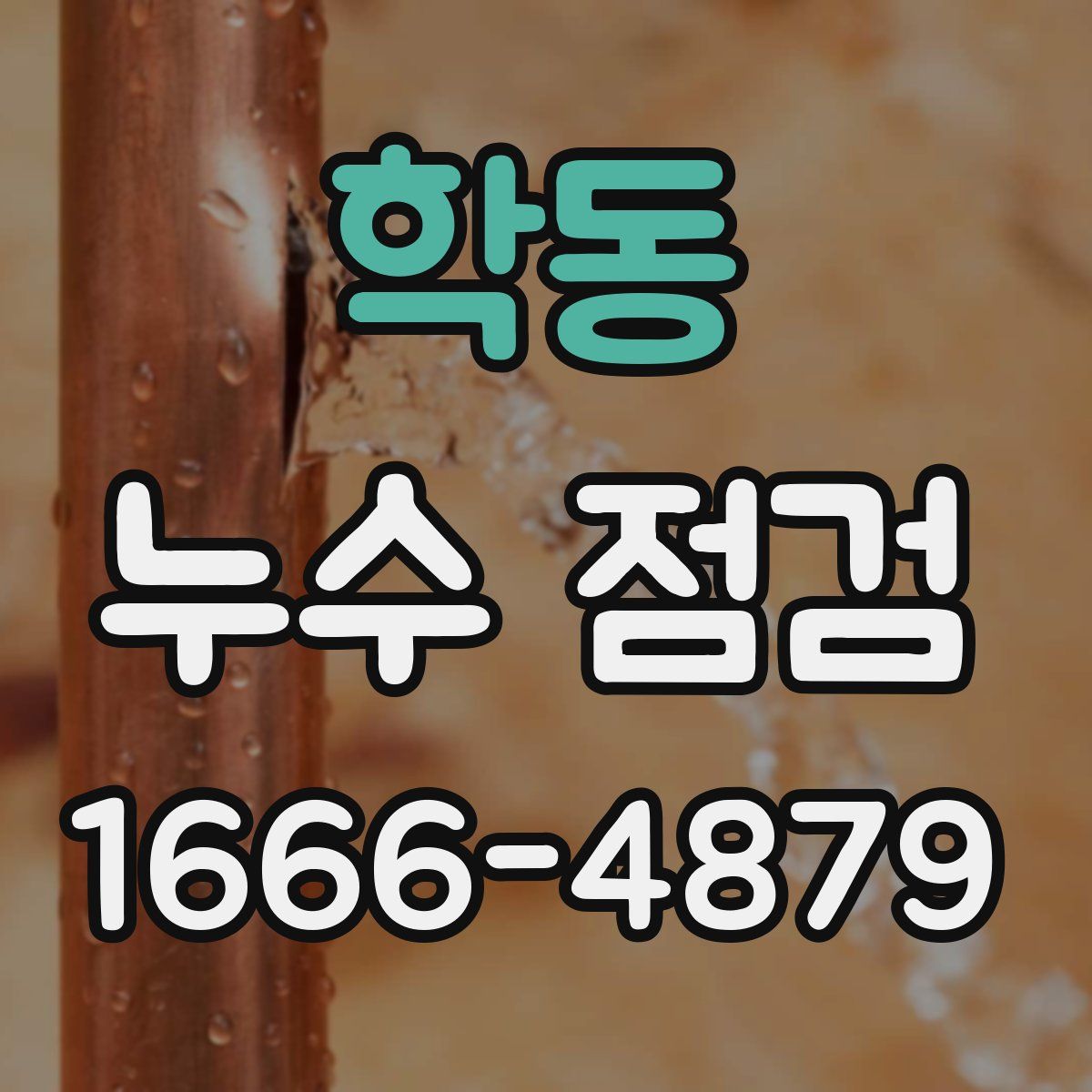 학동 누수 점검