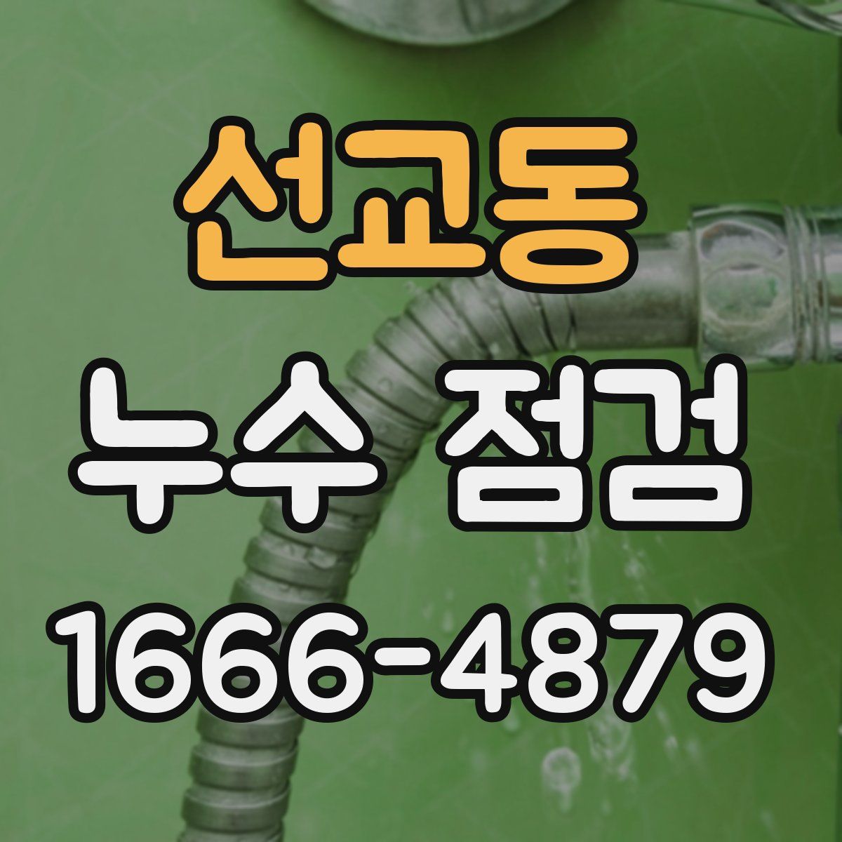 선교동 누수 점검
