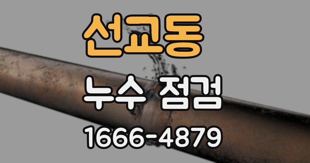 선교동 누수 점검