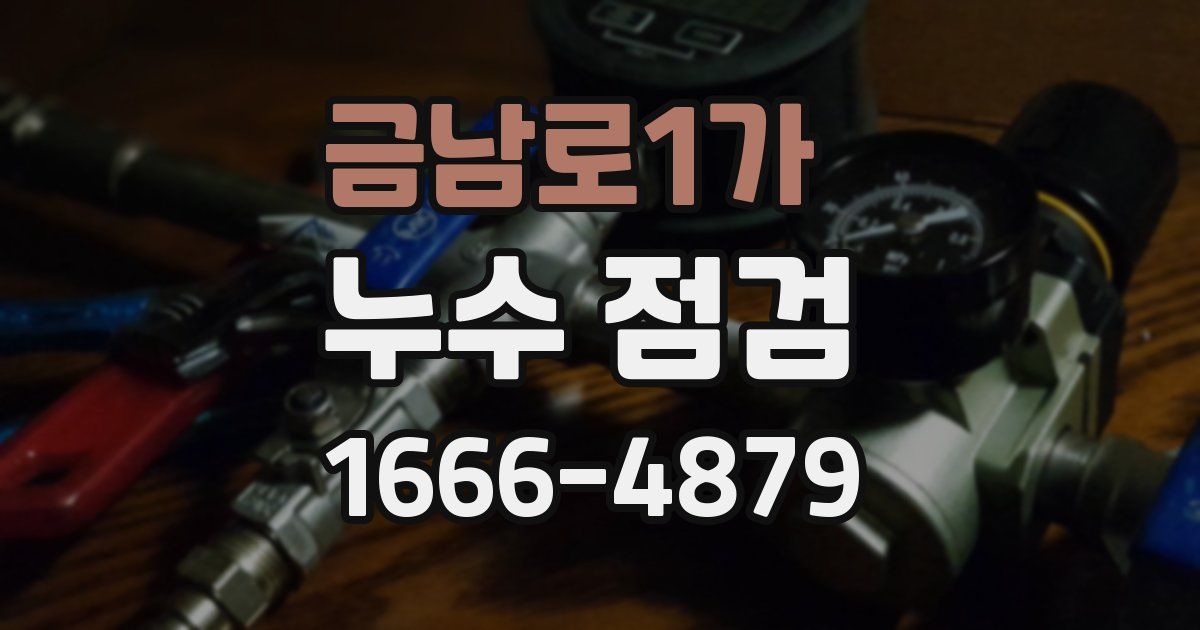 금남로1가 누수 점검