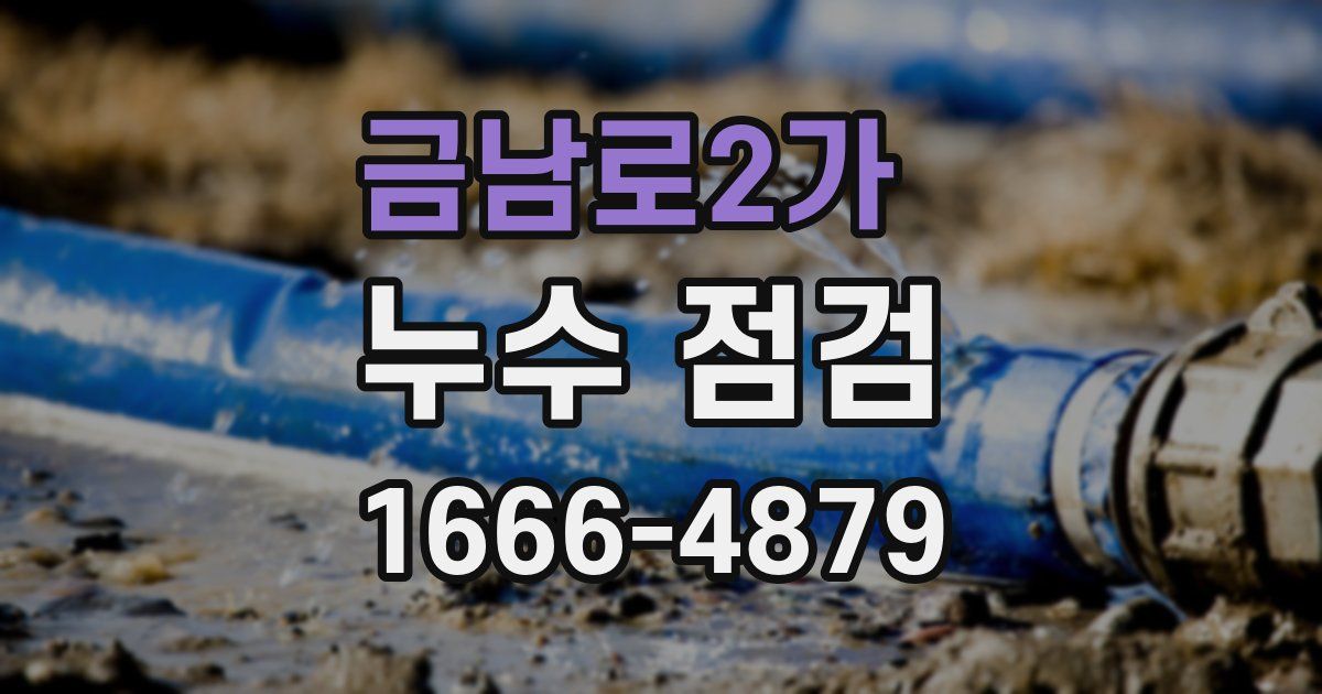 금남로2가 누수 점검
