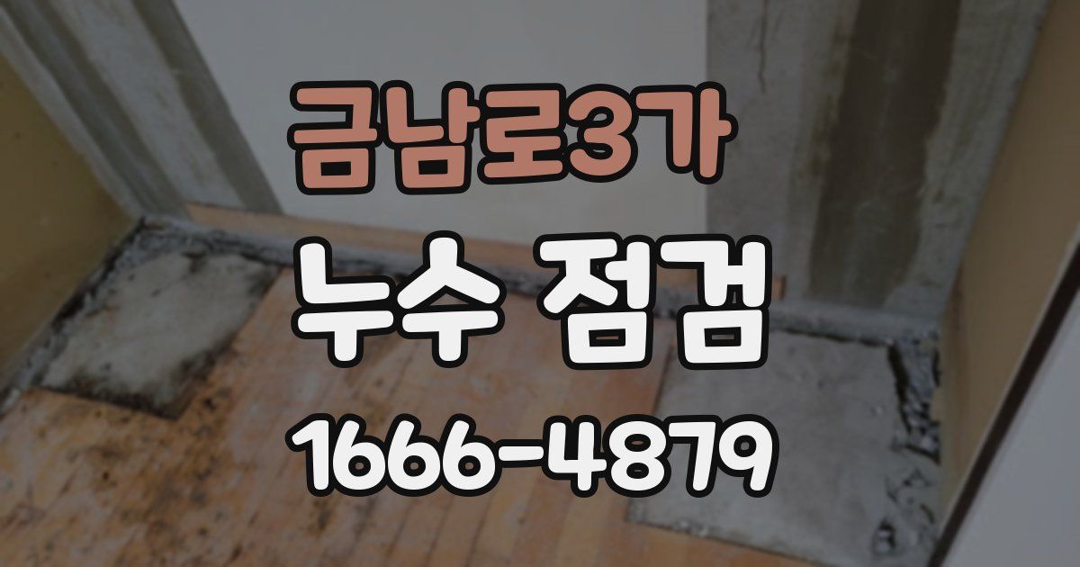 금남로3가 누수 점검